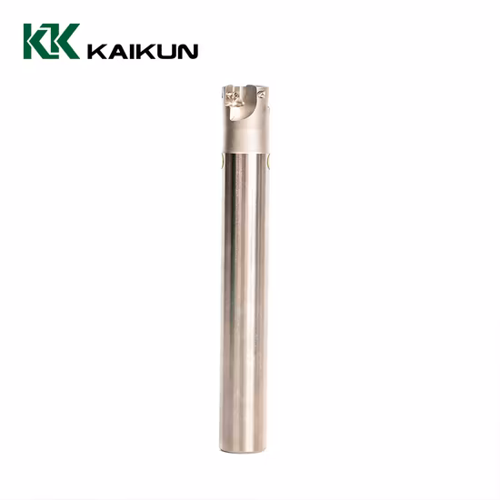 Suporte de ferramenta Bt/St/Nt/Jt/Sk/Dat/Cat, Nt40-Sln Mandril de fresagem